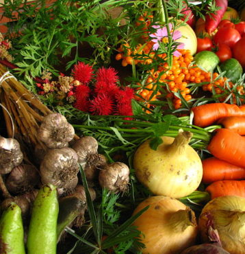 Organically grown vegetables